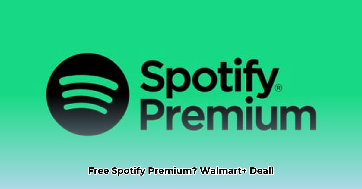 spotify-premium-for-6-months